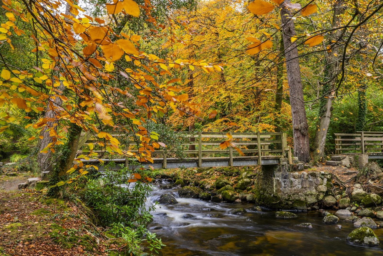Bridge at Mourne Park in Autumn